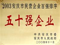 2003年安慶市民營企業(yè)五十強